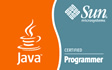 java sun programmer